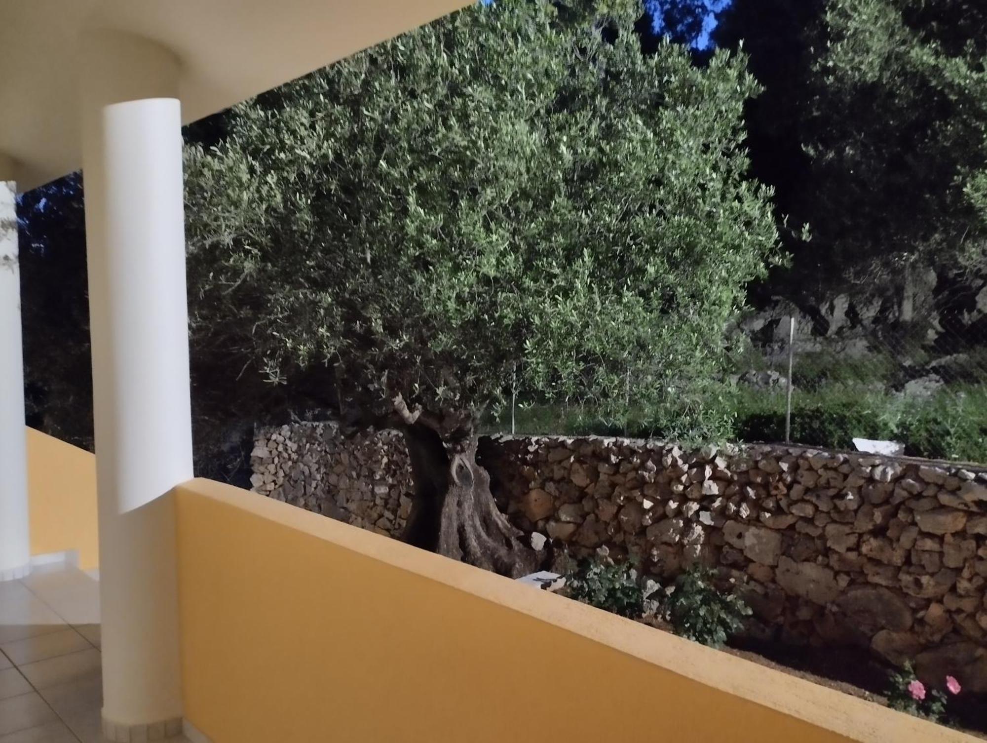 Asteras Studios Argostoli  Exteriör bild