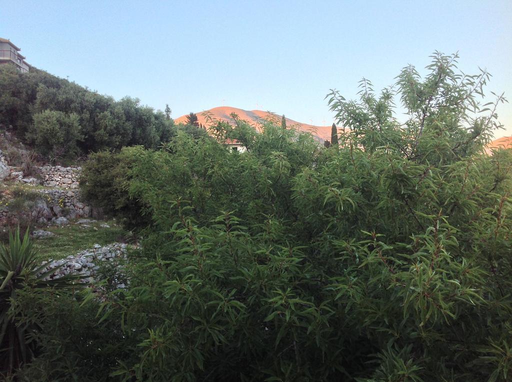 Asteras Studios Argostoli  Exteriör bild